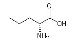 D-正纈氨酸